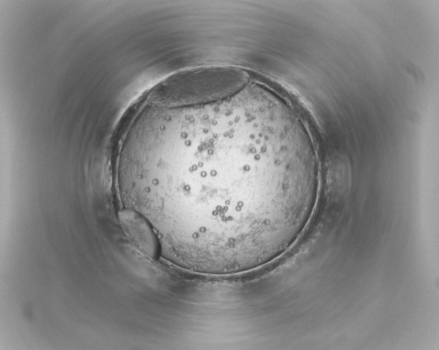 X0000115270973200911271942