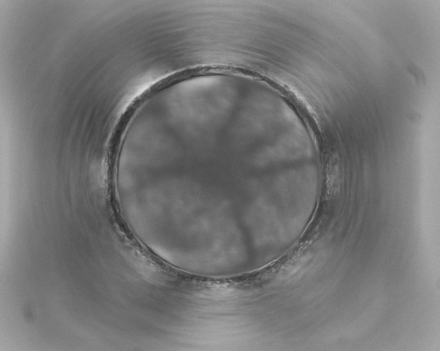 X0000115270975200911271942