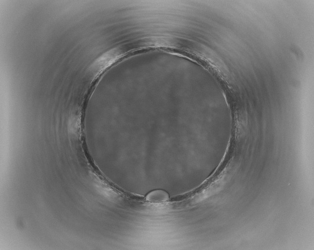 X0000115270977200911271942