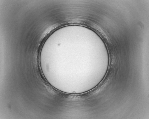 X0000115270978200911271942