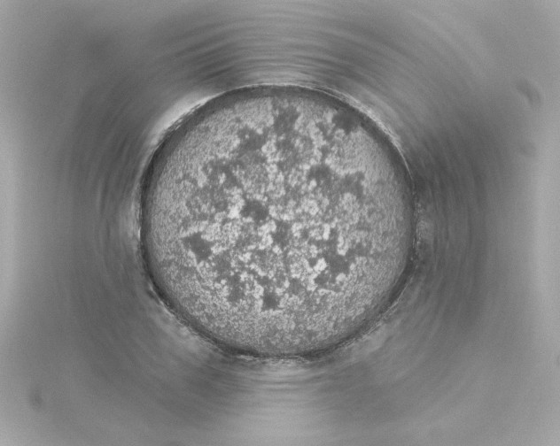 X0000115270979200911271942