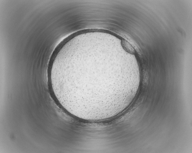 X0000115270980200911271942