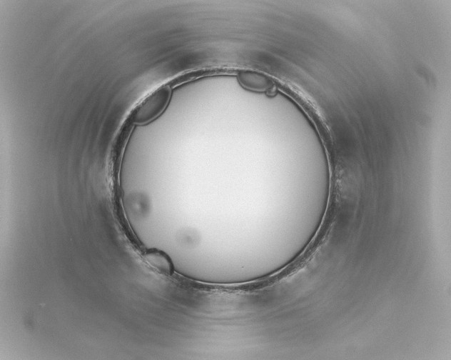 X0000115270981200911271942