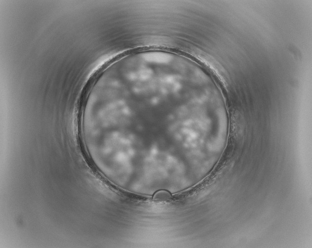 X0000115270983200911271942