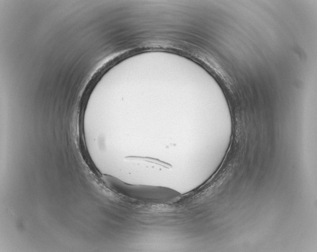 X0000115270984200911271942