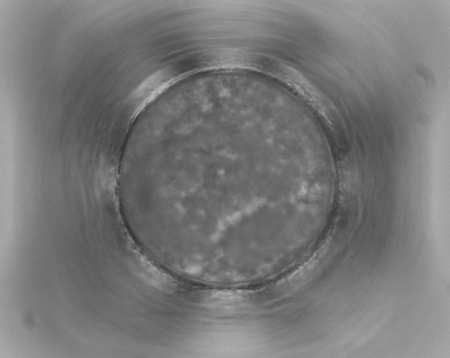 X0000115270985200911271942