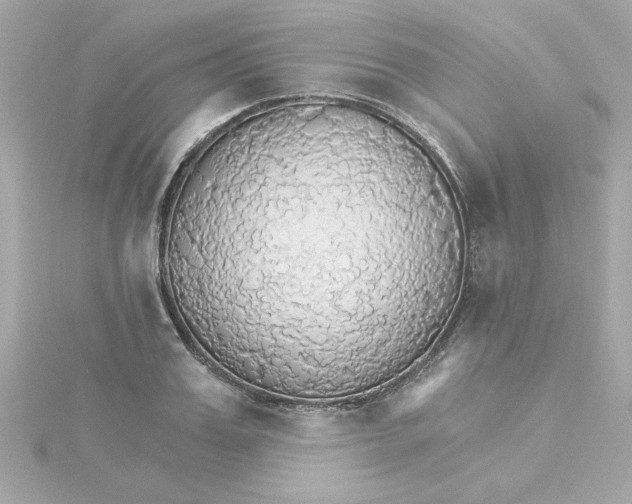 X0000115270987200911271942