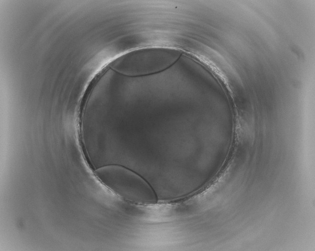 X0000115270989200911271942