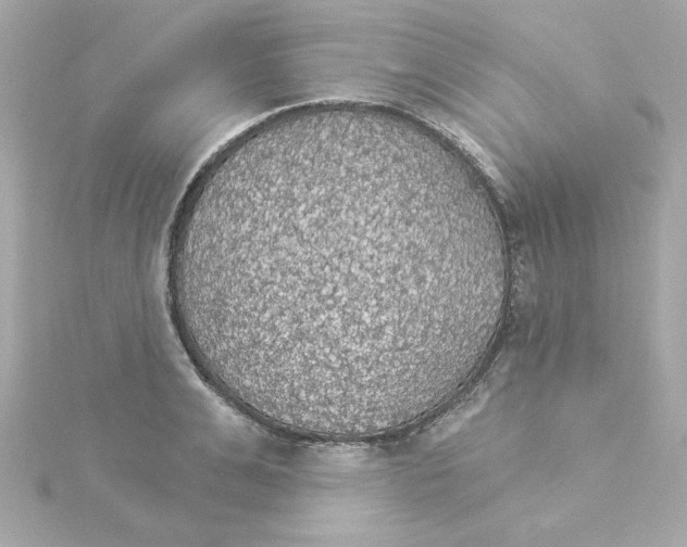 X0000115270991200911271942