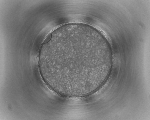 X0000115270993200911271942