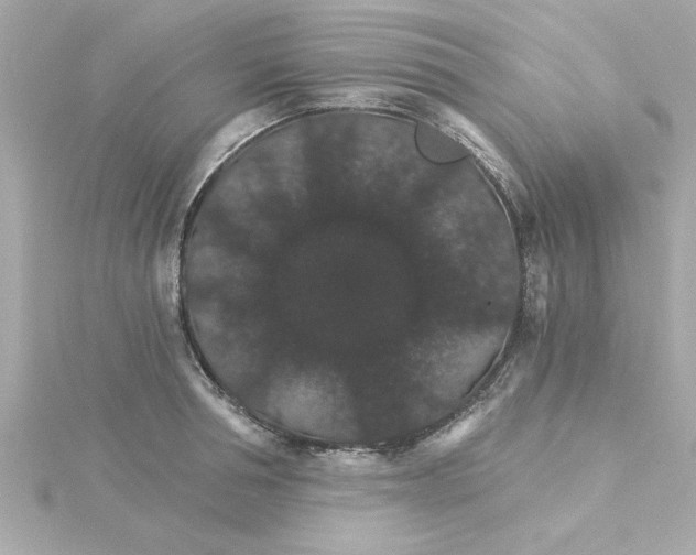 X0000115270994200911271942