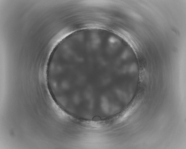 X0000115270995200911271942