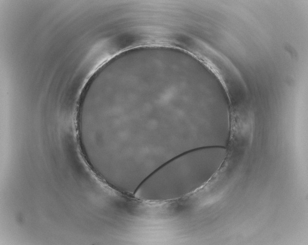 X0000115270997200911271942