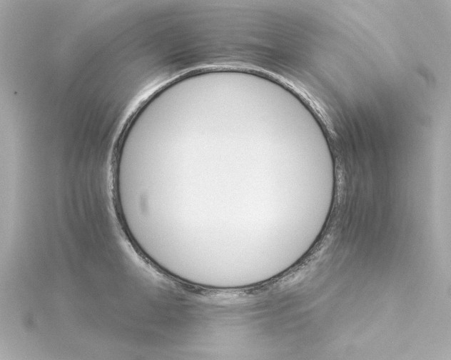 X0000115270998200911271942