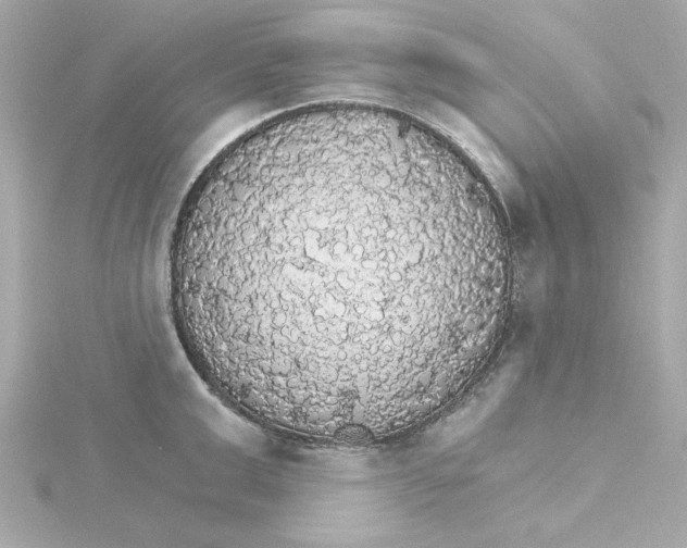 X0000115270999200911271942