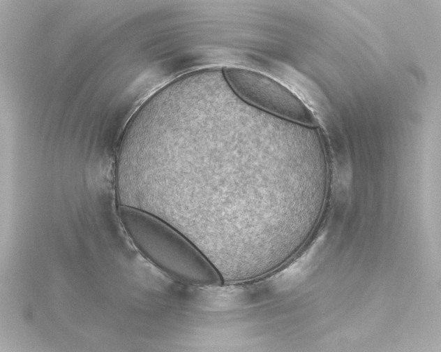 X0000115271001200911271942