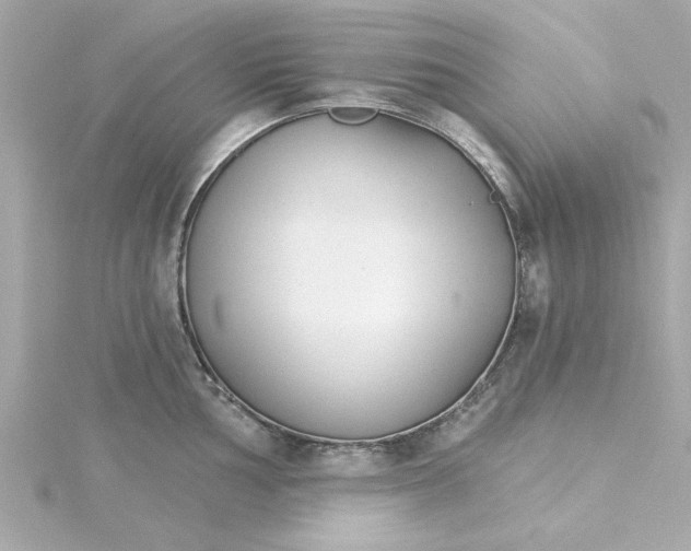 X0000115271002200911271942