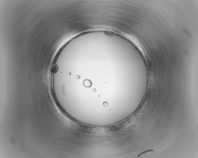 X0000115271003200911271942