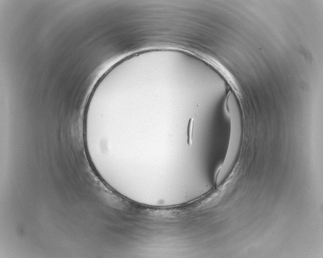 X0000115271004200911271942