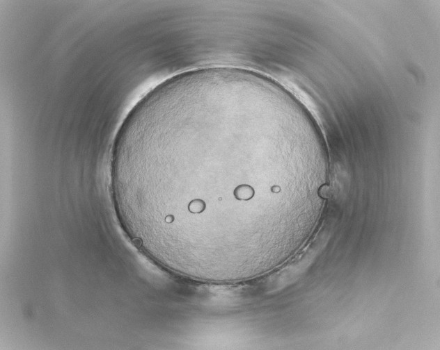 X0000115271005200911271942