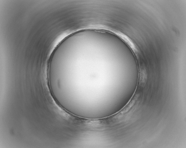 X0000115271006200911271942