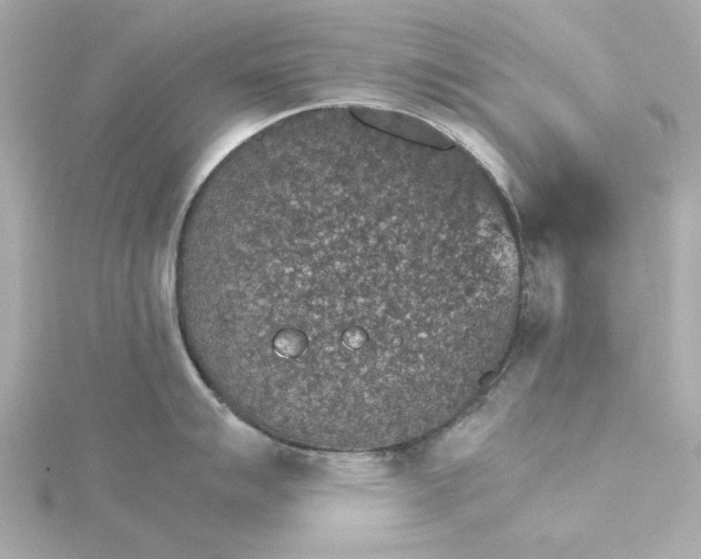 X0000115271007200911271942