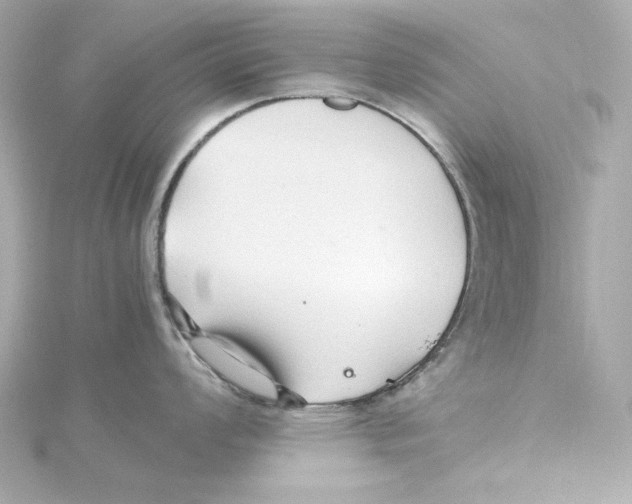 X0000115271008200911271942