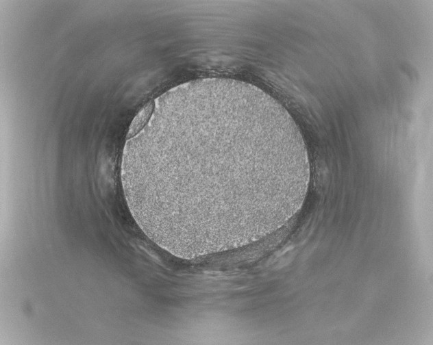 X0000115271010200911271941