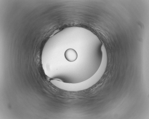 X0000115271011200911271941