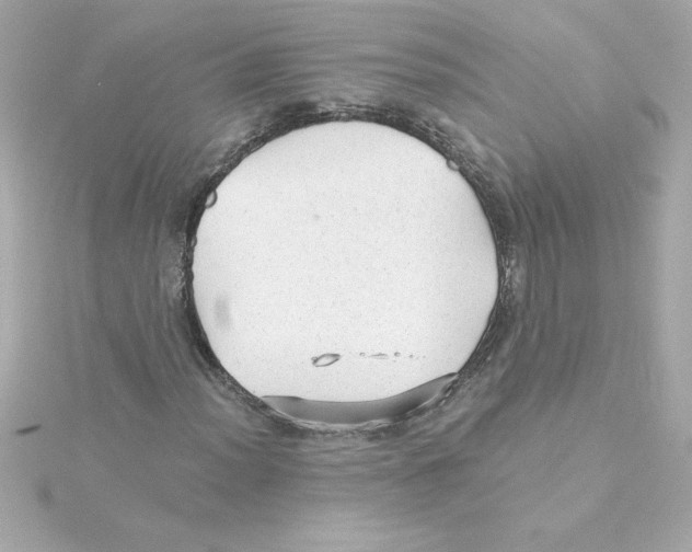 X0000115271012200911271941