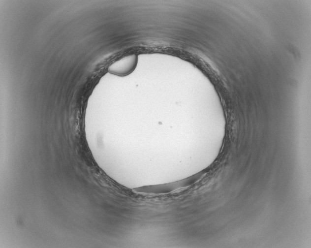 X0000115271016200911271941