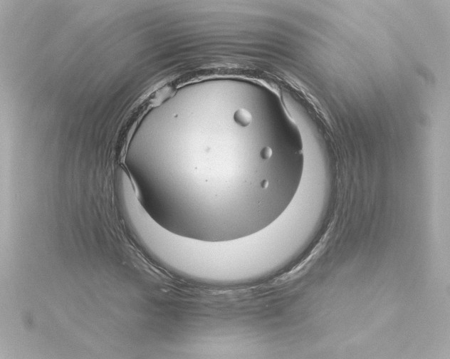 X0000115271017200911271941