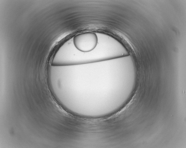 X0000115271018200911271941