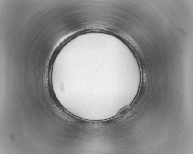 X0000115271020200911271941