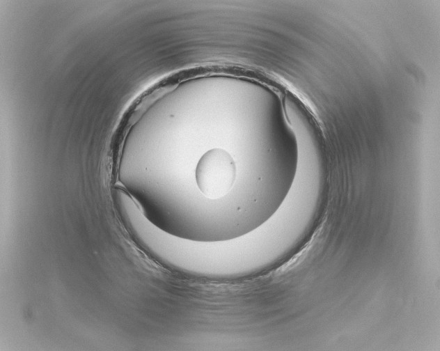 X0000115271021200911271941