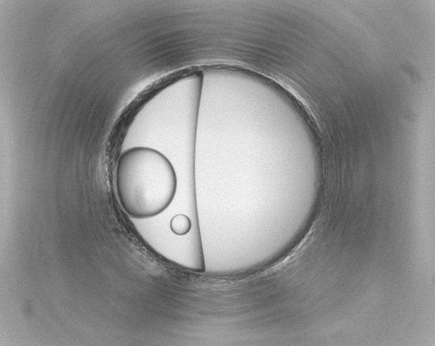 X0000115271022200911271941