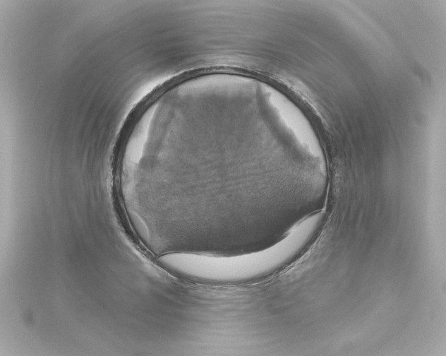 X0000115271024200911271941