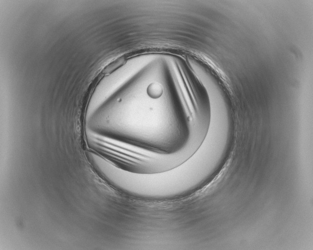 X0000115271025200911271941