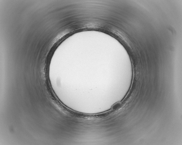 X0000115271026200911271941