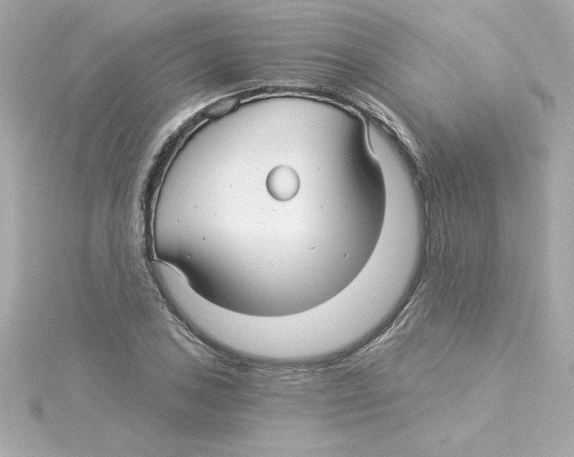 X0000115271027200911271941