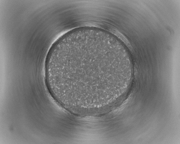 X0000115271028200911271941