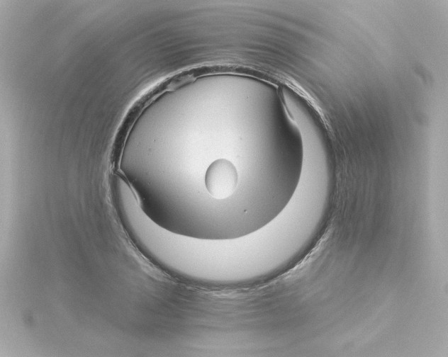 X0000115271029200911271941