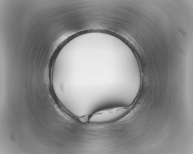 X0000115271030200911271941