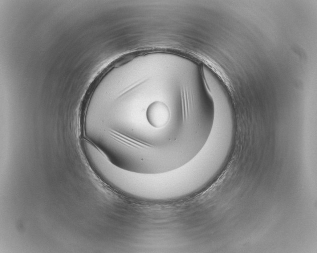 X0000115271031200911271941