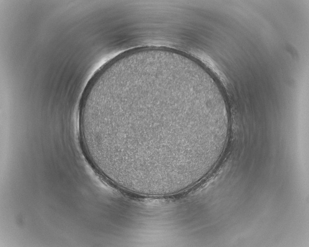 X0000115271032200911271941