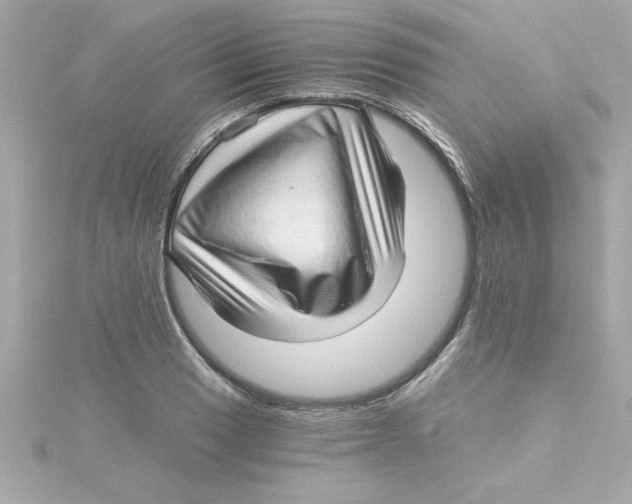 X0000115271033200911271941