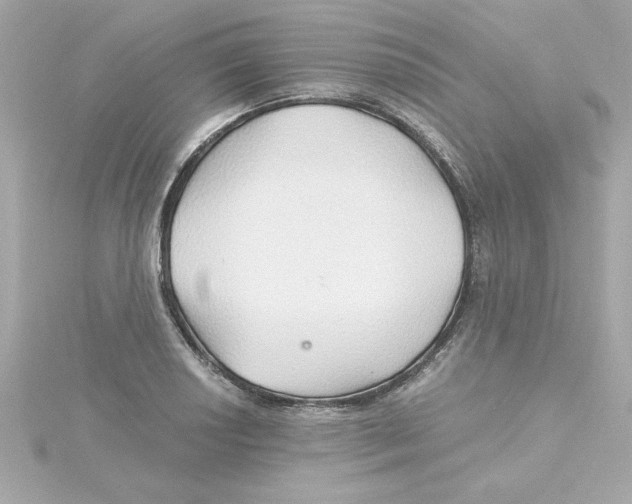 X0000115271034200911271941