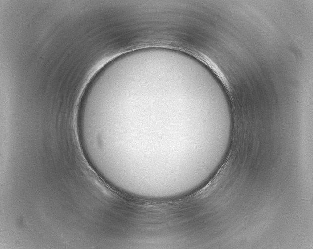 X0000115271035200911271941