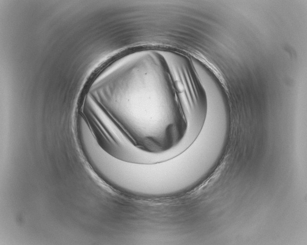 X0000115271037200911271941