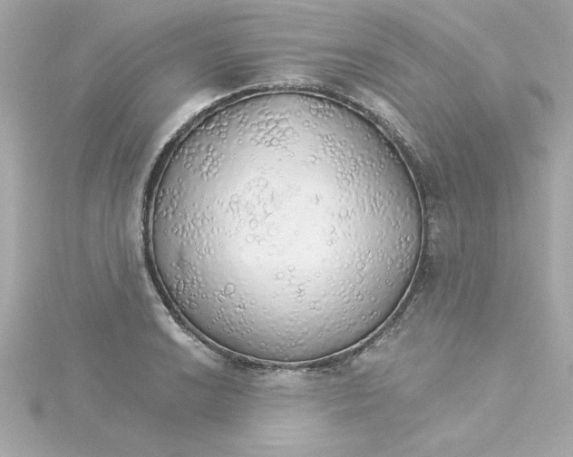 X0000115271038200911271941